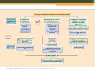 Fisiopatologia Noe KH, Manno EM. Mechanisms underlying status epilepticus. Drugs Today (Barc) 2005;41:257-66.   