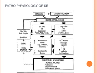 PATHO PHYSIOLOGY OF SE