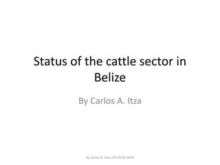 Status of the cattle sector in
Belize
By Carlos A. Itza
by Carlos A. Itza, CEO BLPA 2016
 