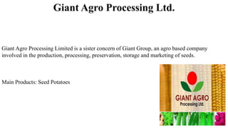 Giant Agro Processing Ltd.
Giant Agro Processing Limited is a sister concern of Giant Group, an agro based company
involve...