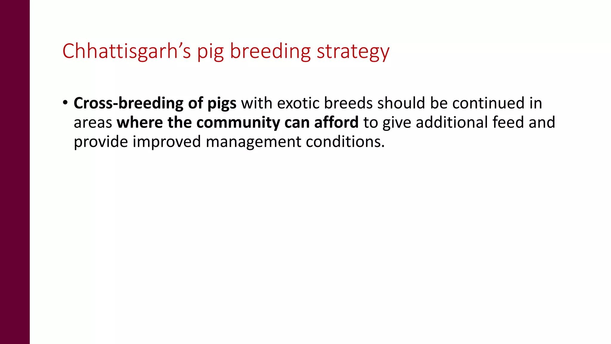 Chhattisgarh’s pig breeding strategy
• Cross-breeding of pigs with exotic breeds should be continued in
areas where the community can afford to give additional feed and
provide improved management conditions.
 