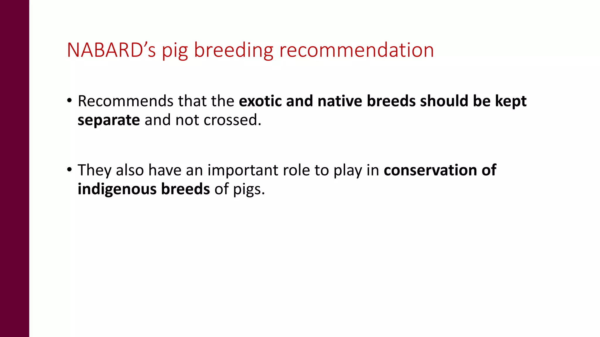 NABARD’s pig breeding recommendation
• Recommends that the exotic and native breeds should be kept
separate and not crossed.
• They also have an important role to play in conservation of
indigenous breeds of pigs.
 