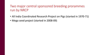 Status of pig breeding policies and practices in India