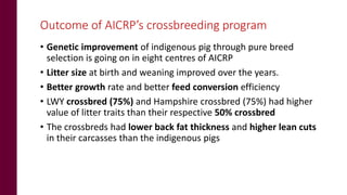 Status of pig breeding policies and practices in India