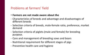 Status of pig breeding policies and practices in India