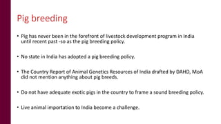 Status of pig breeding policies and practices in India