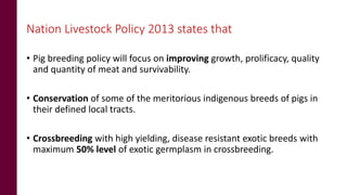Status of pig breeding policies and practices in India