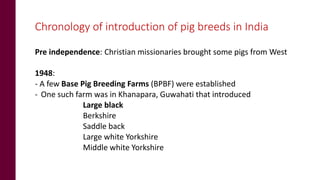 Status of pig breeding policies and practices in India