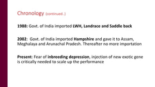 Status of pig breeding policies and practices in India