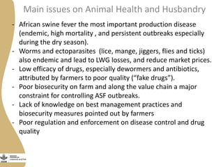 Status of porcine cysticercosis in the smallholder pig production systems in Uganda