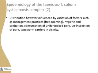 Status of porcine cysticercosis in the smallholder pig production systems in Uganda