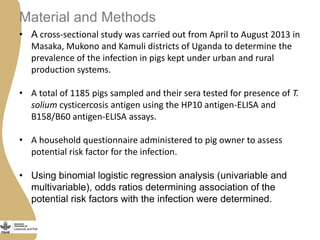 Status of porcine cysticercosis in the smallholder pig production systems in Uganda