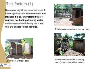 Status of porcine cysticercosis in the smallholder pig production systems in Uganda