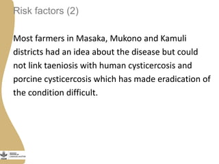 Status of porcine cysticercosis in the smallholder pig production systems in Uganda