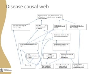 Status of porcine cysticercosis in the smallholder pig production systems in Uganda