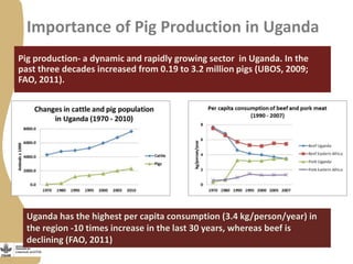 Status of porcine cysticercosis in the smallholder pig production systems in Uganda