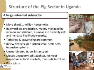 Status of porcine cysticercosis in the smallholder pig production systems in Uganda