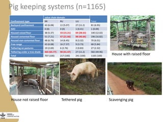 Status of porcine cysticercosis in the smallholder pig production systems in Uganda