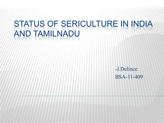 STATUS OF SERICULTURE IN INDIA
AND TAMILNADU
-J.Delince
BSA-11-409
 