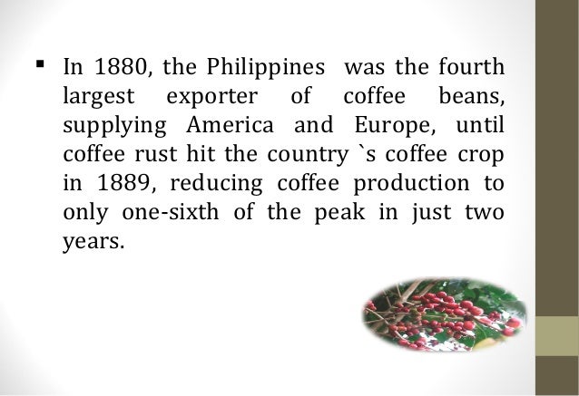 developing the philippine coffee industry developing the philippine coffee industry