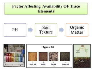 Status of Trace Elements In Pakistani Soil | PPTX