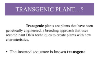 Status of transgenic crops | PPTX
