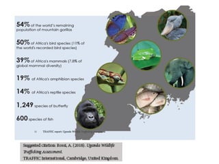 status-of-wildlife-population-threats-to-wildlife-in-uganda-by-dr
