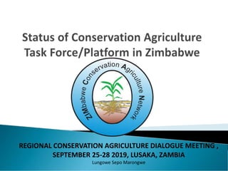 REGIONAL CONSERVATION AGRICULTURE DIALOGUE MEETING ,
SEPTEMBER 25-28 2019, LUSAKA, ZAMBIA
Lungowe Sepo Marongwe
 