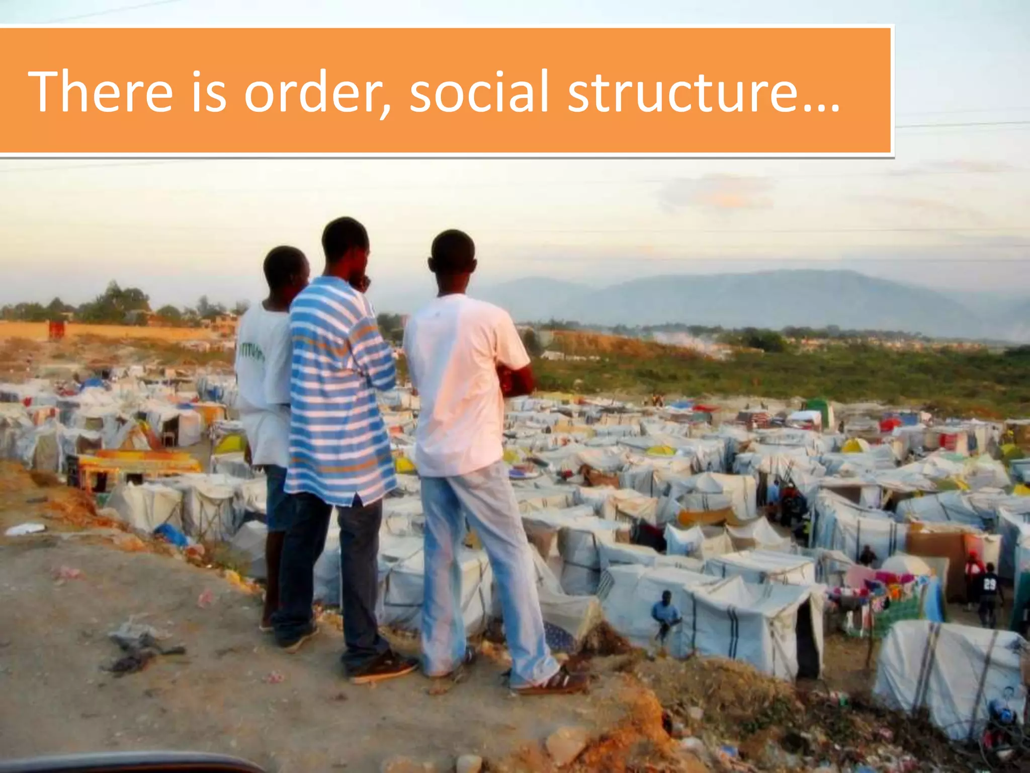 There is order, social structure…
 