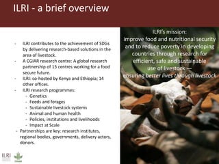 Better lives through livestock: ILRI’s livestock research for development approach