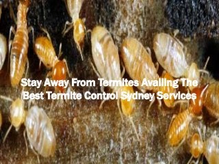 Stay Away From Termites Availing The
Best Termite Control Sydney Services

 