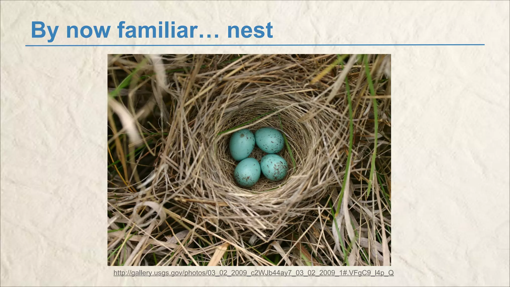 By now familiar… nest 
http://gallery.usgs.gov/photos/03_02_2009_c2WJb44ay7_03_02_2009_1#.VFgC9_l4p_Q 
 