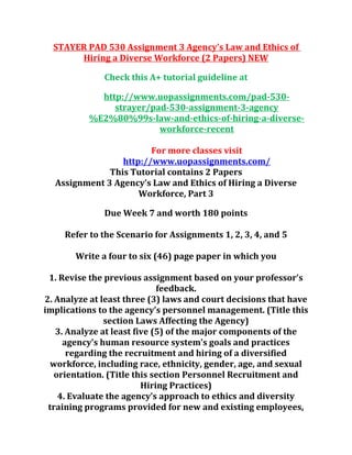 Stayer pad 530 assignment 3 agency | PDF