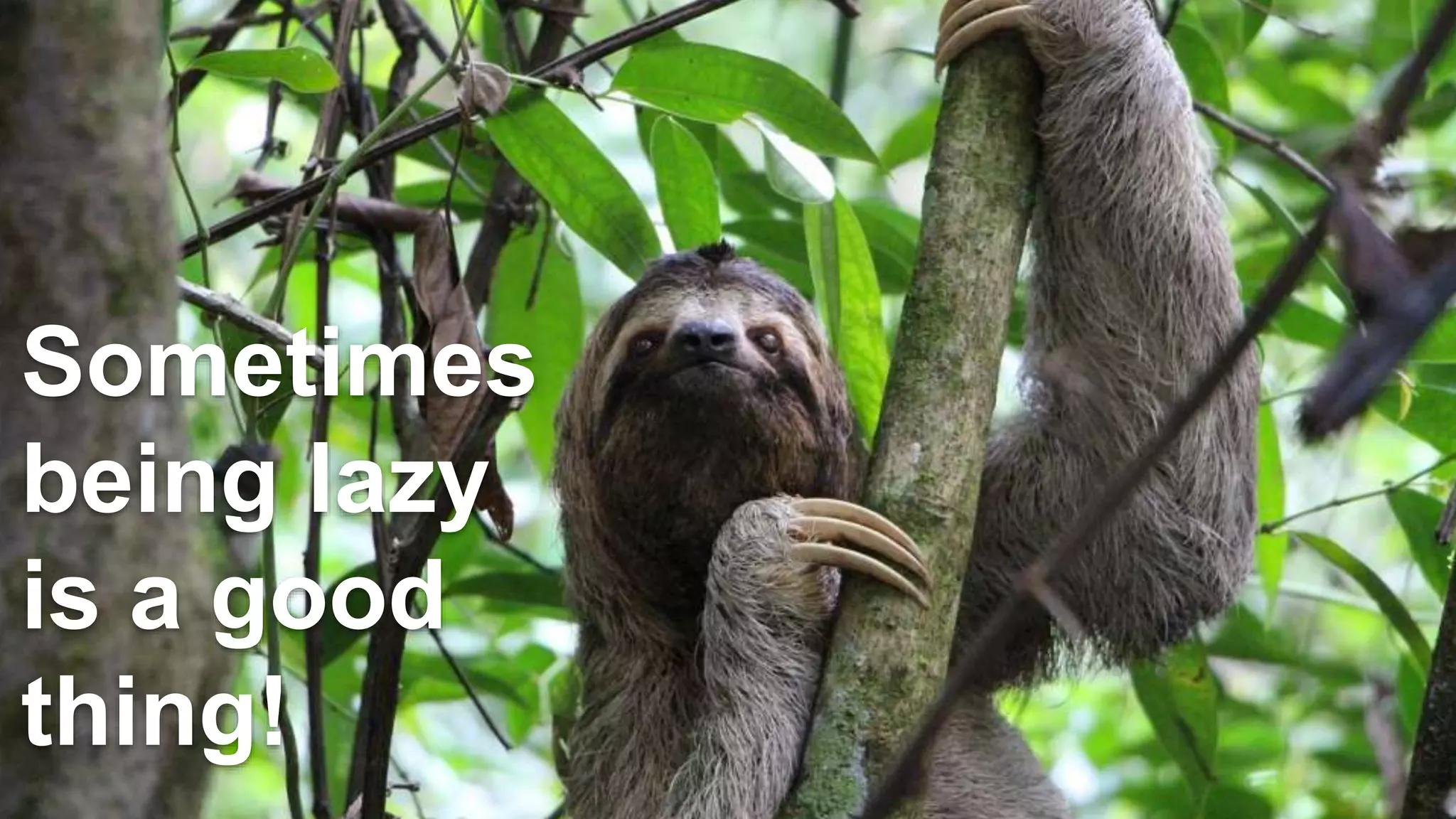 Sometimes
being lazy
is a good
thing!
 