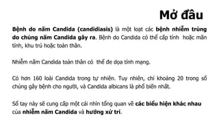 Mở đầu
Bệnh do nấm Candida (candidiasis) là một loạt các bệnh nhiễm trùng
do chủng nấm Candida gây ra. Bệnh do Candida có thể cấp tính hoặc mãn
tính, khu trú hoặc toàn thân.
Nhiễm nấm Candida toàn thân có thể đe dọa tính mạng.
Có hơn 160 loài Candida trong tự nhiên. Tuy nhiên, chỉ khoảng 20 trong số
chúng gây bệnh cho người, và Candida albicans là phổ biến nhất.
Sổ tay này sẽ cung cấp một cái nhìn tổng quan về các biểu hiện khác nhau
của nhiễm nấm Candida và hướng xử trí.
 