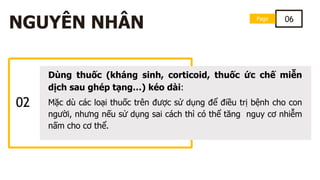 02
Dùng thuốc (kháng sinh, corticoid, thuốc ức chế miễn
dịch sau ghép tạng…) kéo dài:
Mặc dù các loại thuốc trên được sử dụng để điều trị bệnh cho con
người, nhưng nếu sử dụng sai cách thì có thể tăng nguy cơ nhiễm
nấm cho cơ thể.
Page 06
NGUYÊN NHÂN
 