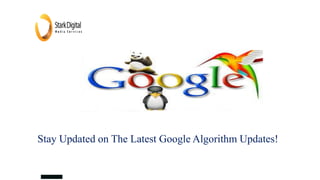 Stay Updated on The Latest Google Algorithm Updates!o
Hire Specialized Web Development Company
 