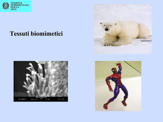 Tessuti biomimeticiTessuti biomimetici
 