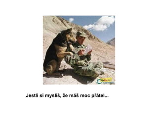 Jestli si myslíš, že máš moc přátel...   