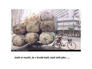 Jestli si myslíš, že v životě trpíš, trpíš tolik jako  …   