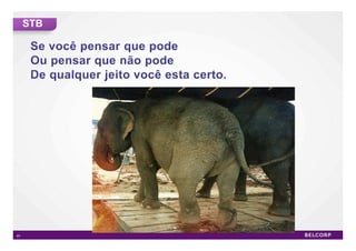 STB




41         41
 