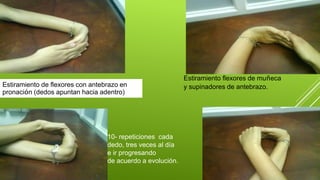 Estiramiento flexores de muñeca
y supinadores de antebrazo.Estiramiento de flexores con antebrazo en
pronación (dedos apun...