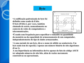 A codificação padronizada de byte foi definida como sendo de 8 bits. O byte (8 bits) é, por vezes, também chamado de octeto, nomeadamente no contexto de redes de computadores e telecomunicações. É usado com frequência para especificar o tamanho ou quantidade da memória ou da capacidade de armazenamento de um computador, independentemente do tipo de dados armazenados. A uma metade de um byte, dá-se o nome de nibble ou semioctecto. Um byte nada tem de especial, é apenas um número binário de oito algarismos (0 ou 1). A sua importância na informática deriva apenas do fato do código ASCII ter adoptado números de oito bits, além de razões meramente construtivas ou operacionais. Byte  