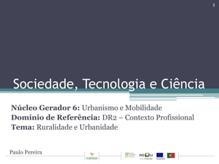 Sociedade, Tecnologia e Ciência 
Núcleo Gerador 6: Urbanismo e Mobilidade 
Domínio de Referência: DR2 – Contexto Profissional 
Tema: Ruralidade e Urbanidade 
Paulo Pereira 
1 
 