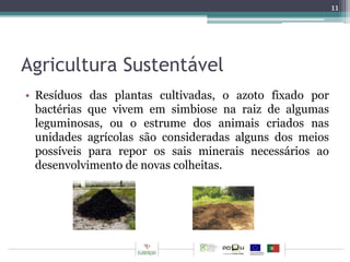 Agricultura Sustentável 
• Resíduos das plantas cultivadas, o azoto fixado por 
bactérias que vivem em simbiose na raiz de algumas 
leguminosas, ou o estrume dos animais criados nas 
unidades agrícolas são consideradas alguns dos meios 
possíveis para repor os sais minerais necessários ao 
desenvolvimento de novas colheitas. 
11 
 