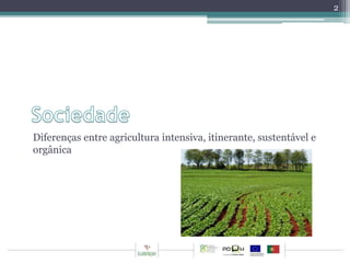 Diferenças entre agricultura intensiva, itinerante, sustentável e 
orgânica 
2 
 