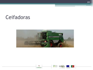 Ceifadoras 
20 
 