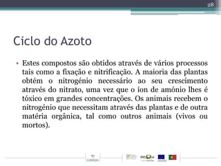 Ciclo do Azoto 
28 
• Estes compostos são obtidos através de vários processos 
tais como a fixação e nitrificação. A maioria das plantas 
obtém o nitrogénio necessário ao seu crescimento 
através do nitrato, uma vez que o íon de amónio lhes é 
tóxico em grandes concentrações. Os animais recebem o 
nitrogénio que necessitam através das plantas e de outra 
matéria orgânica, tal como outros animais (vivos ou 
mortos). 
 