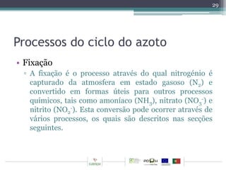 Processos do ciclo do azoto 
• Fixação 
29 
▫ A fixação é o processo através do qual nitrogénio é 
capturado da atmosfera em estado gasoso (N) e 
2convertido em formas úteis para outros processos 
químicos, tais como amoníaco (NH), nitrato (NO-) e 
33 
-). Esta conversão pode ocorrer através de 
nitrito (NO2 
vários processos, os quais são descritos nas secções 
seguintes. 
 