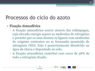 Processos do ciclo do azoto 
• Fixação Atmosférica 
▫ A fixação atmosférica ocorre através dos relâmpagos, 
cuja elevada energia separa as moléculas de nitrogénio 
e permite que os seus átomos se liguem com moléculas 
de oxigénio existentes no ar formando monóxido de 
nitrogénio (NO). Este é posteriormente dissolvido na 
água da chuva e depositado no solo. 
▫ A fixação atmosférica contribui com cerca de 58% de 
todo o nitrogénio fixado. 
31 
 